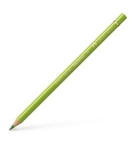 Colour Pencil Polychromos may green